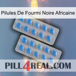 African Black Ant Pills 23